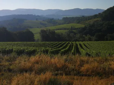 Tuscany Vespa Tours